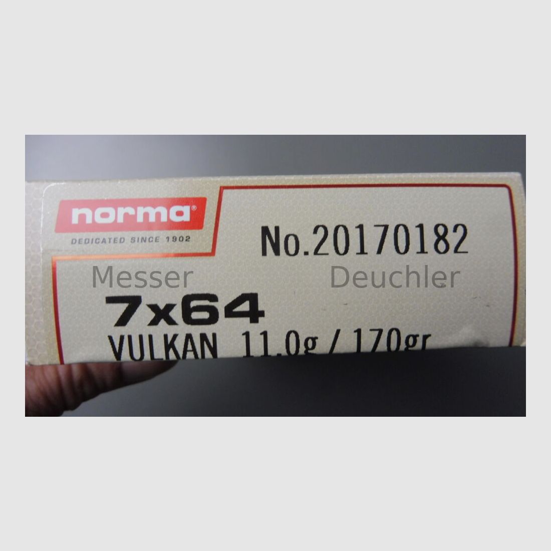 Norma Vulcano