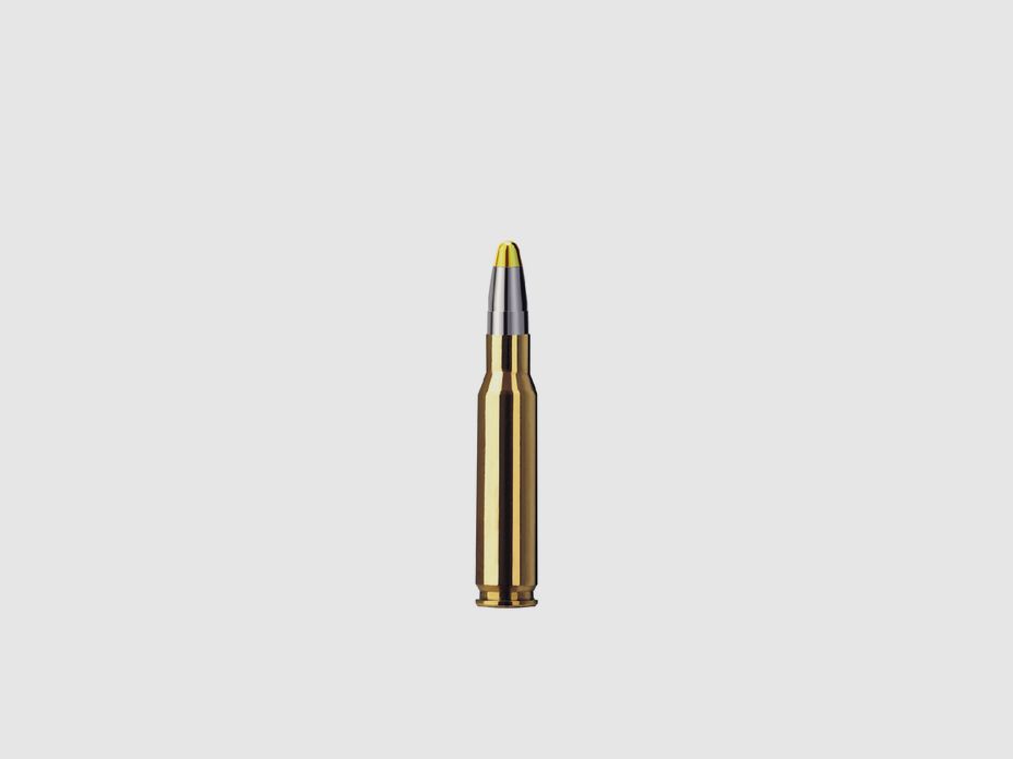 RWS .308 Win. Evolution 11,9g 184grs, Bild 2 von 3