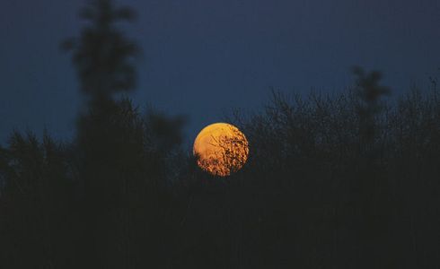 Jagen mit Nachtsichtgerät / Nachtsichkamera