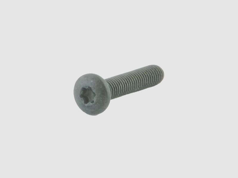 Spuhr clamping screws M5X25 TX20 SA/ST series (set of 4)