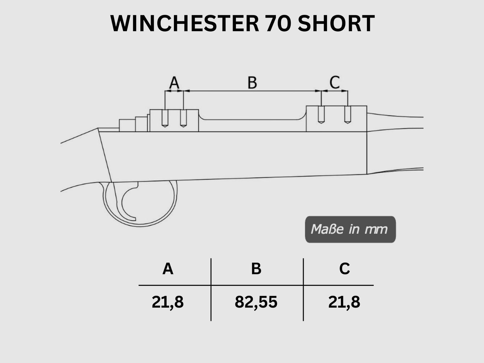 Picatinny Rail WINCHESTER 70 SHORT