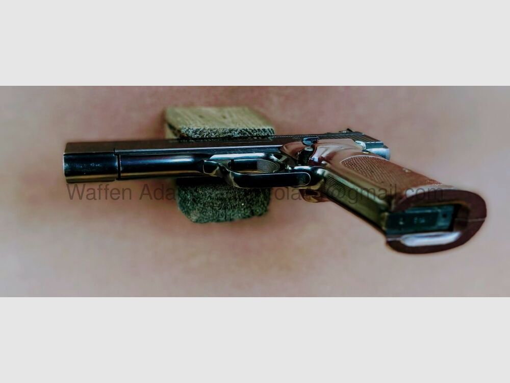 Smith & Wesson Modell 41 Sport