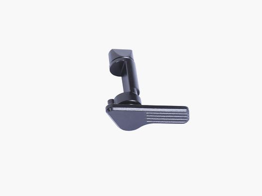 SIG SAUER P320 disassembly lever