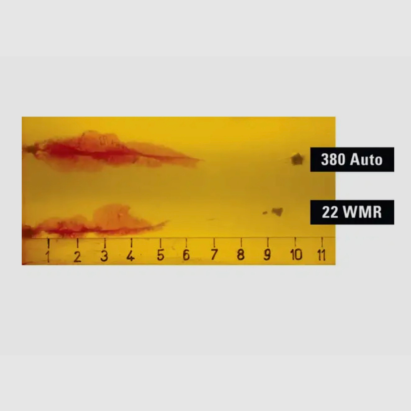 Hornady 83200 .22 WMR 45gr FTX Critical Defense