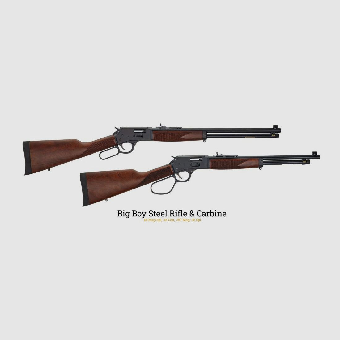 Henry Repeating Arms Mod. Big Boy Steel LL -20'