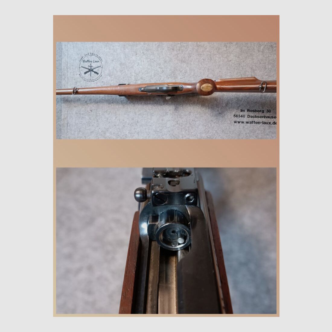 Remington Arms Mod. Mohawk - 600 mit ZF Bushnell 4-12x40 Stutzen