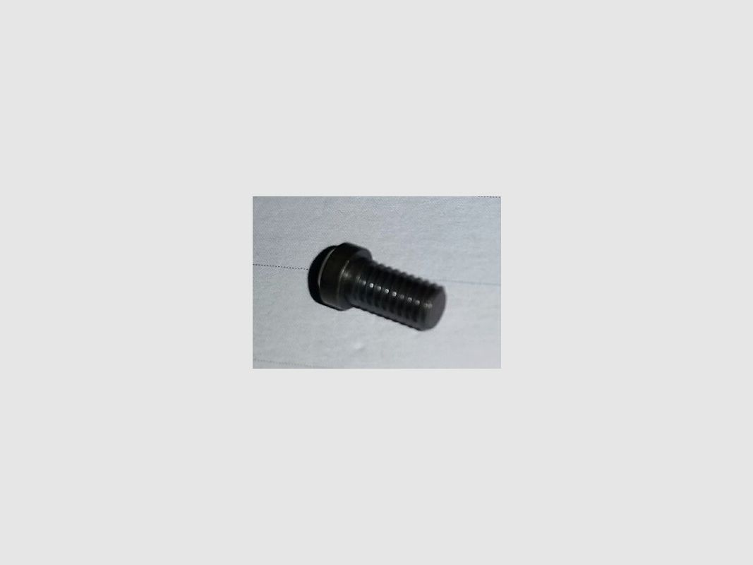 STEYR SCHRAUBE FÜR STEYR SCHWENKMONTAGE RINGE TORX, Bild 4 von 5