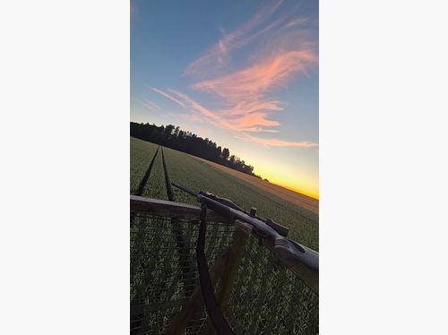 Bergara B14 Wilderness .308 Win | Meopta Optika6 3–18×56 RD | Liemke Luchs 25.1 | Complete set