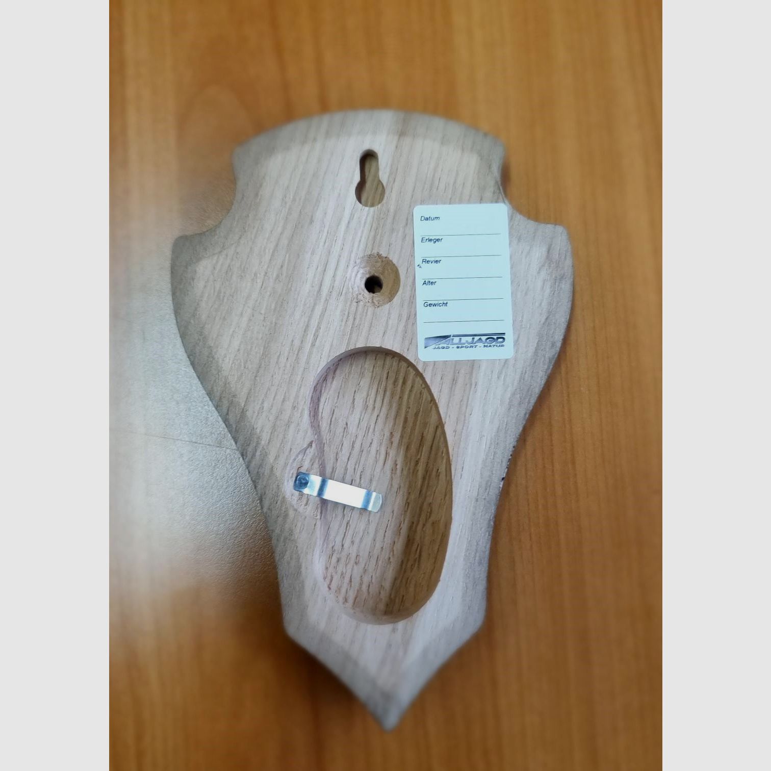 Massives Eichenschild für Rehbock – Spitz – 19 x 12 cm