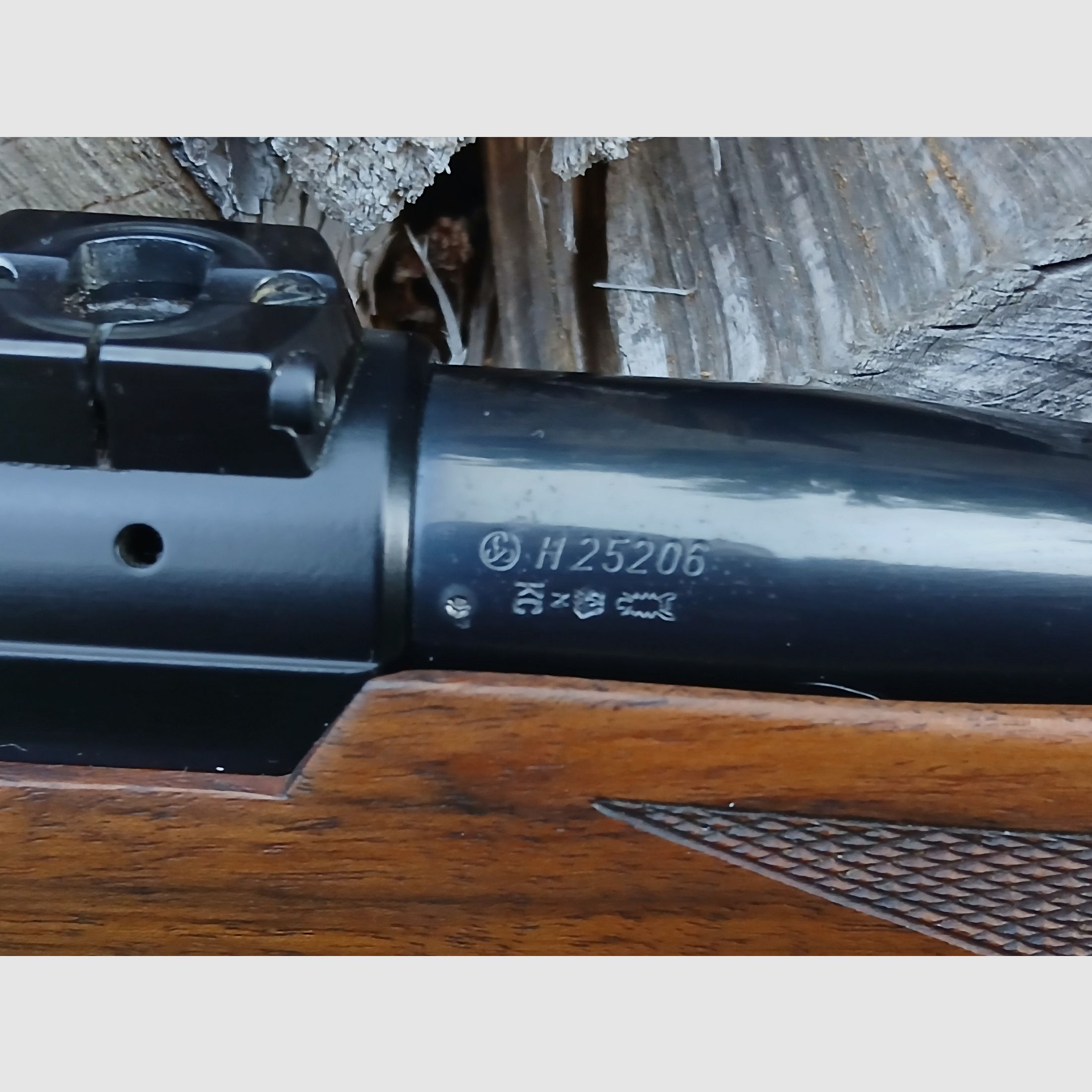 Sauer 200