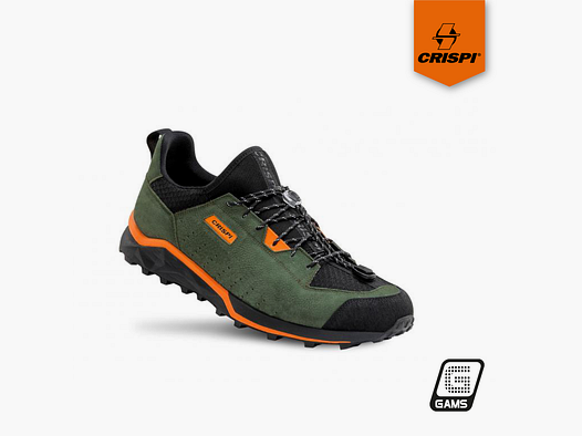 CRISPI ATTIVA LOW GTX BIRCH