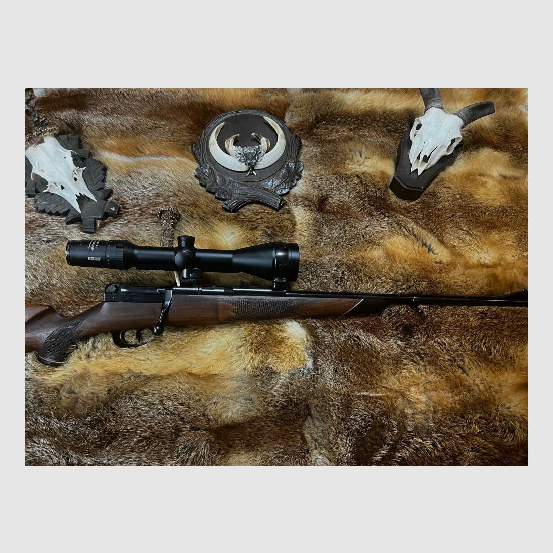 Mauser 66