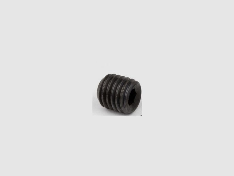 SCHRAUBE M5X4 DIN 913 CZ 309913005004