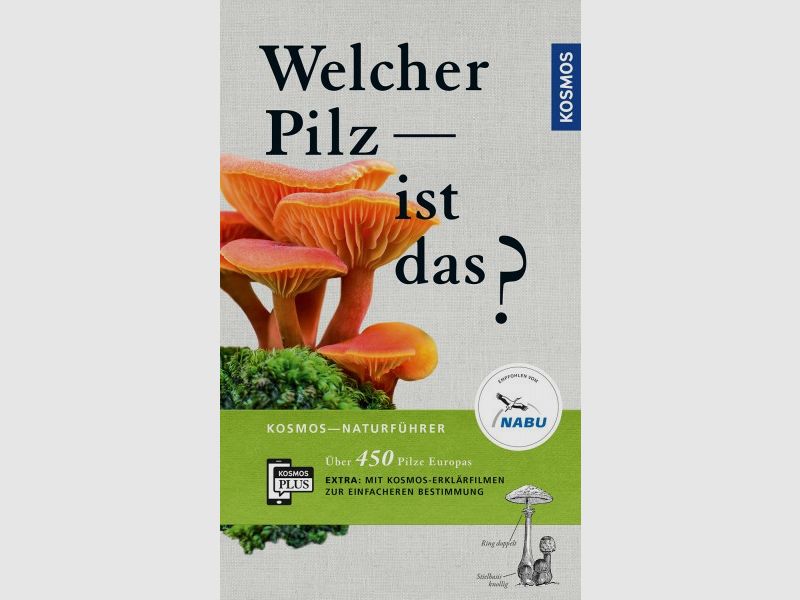 WHICH MUSHROOM IS THAT? - 450 MUSHROOMS