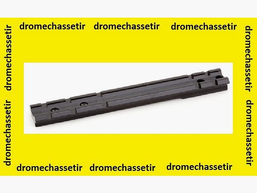 Rail weaver pour remington 700 action longue