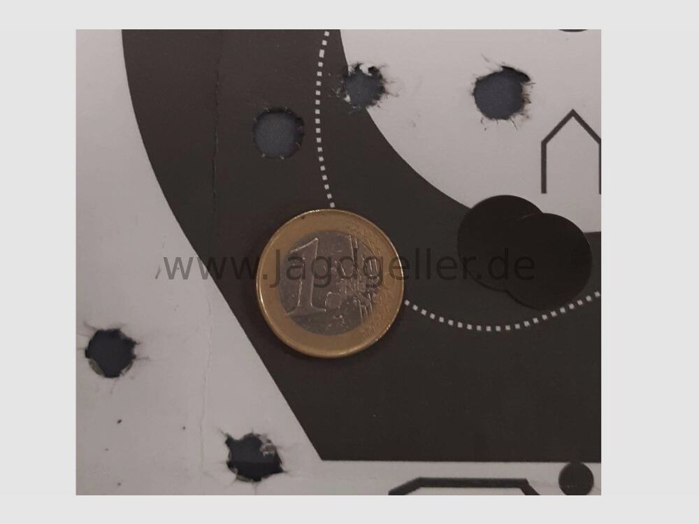 Sako L579 mit Diana 1x30 Red Dot .308Win, Bild 3 von 3