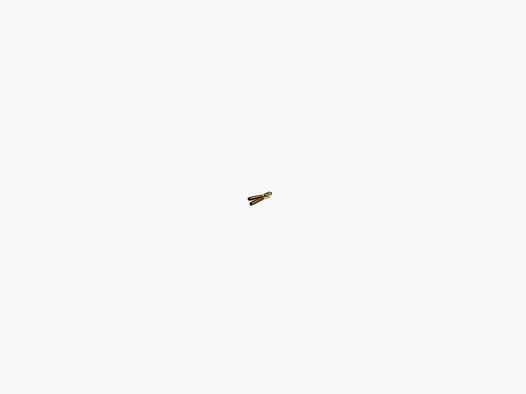 MOULE MANCHE POIGNE BOIS CAL : 58 MINIEE PN LAITON
