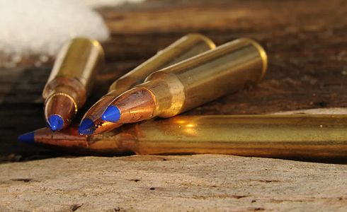 Beeinflusst die Lauflänge einer Büchse die Leistung der Munition? 