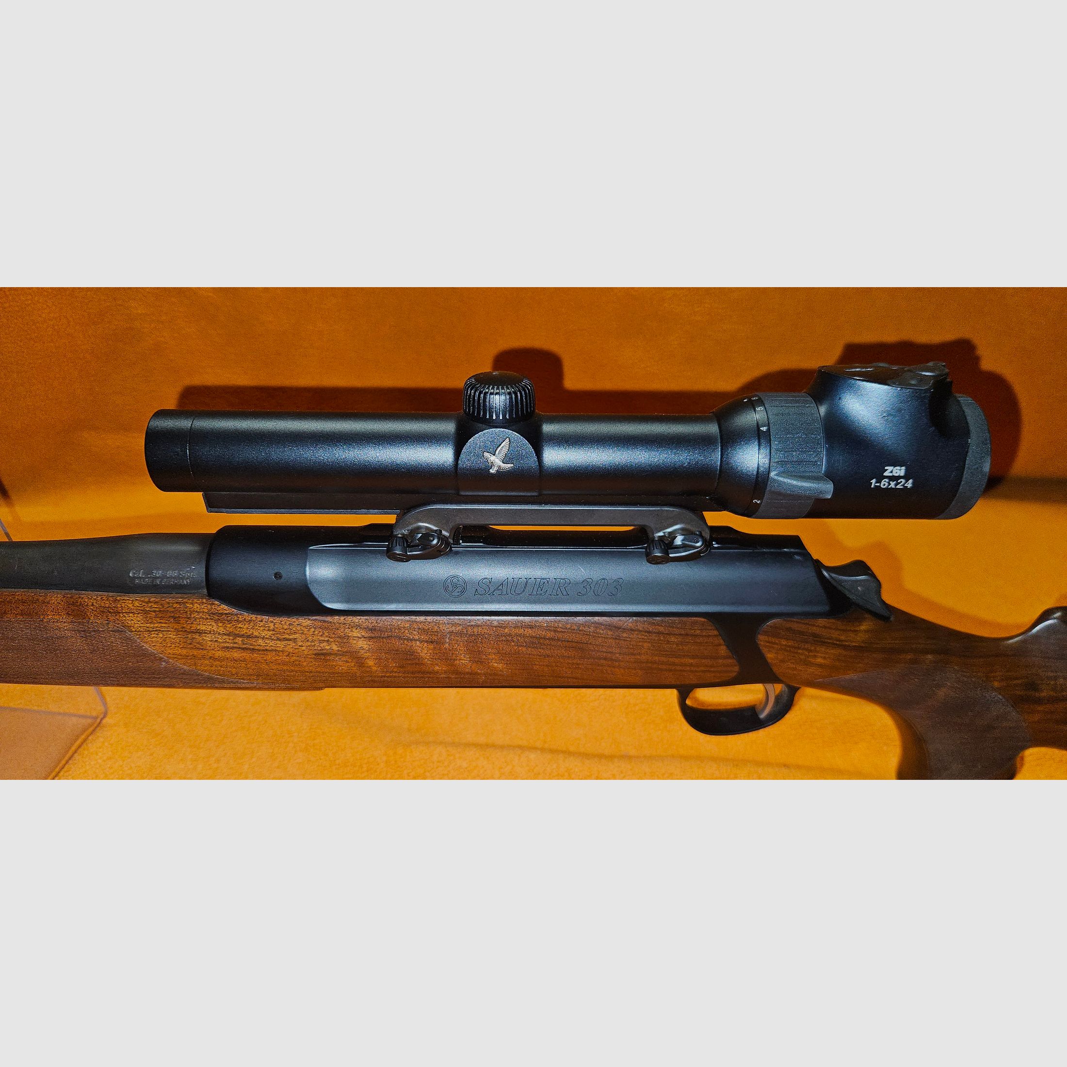 Sauer 303 Classic .30-06 mit Swarovski Z6i 1-6x24 SR & Sauer-Montage