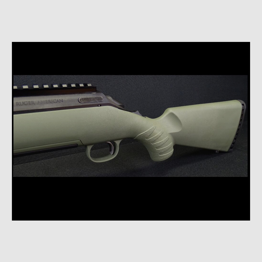 Ruger Amercian Predator