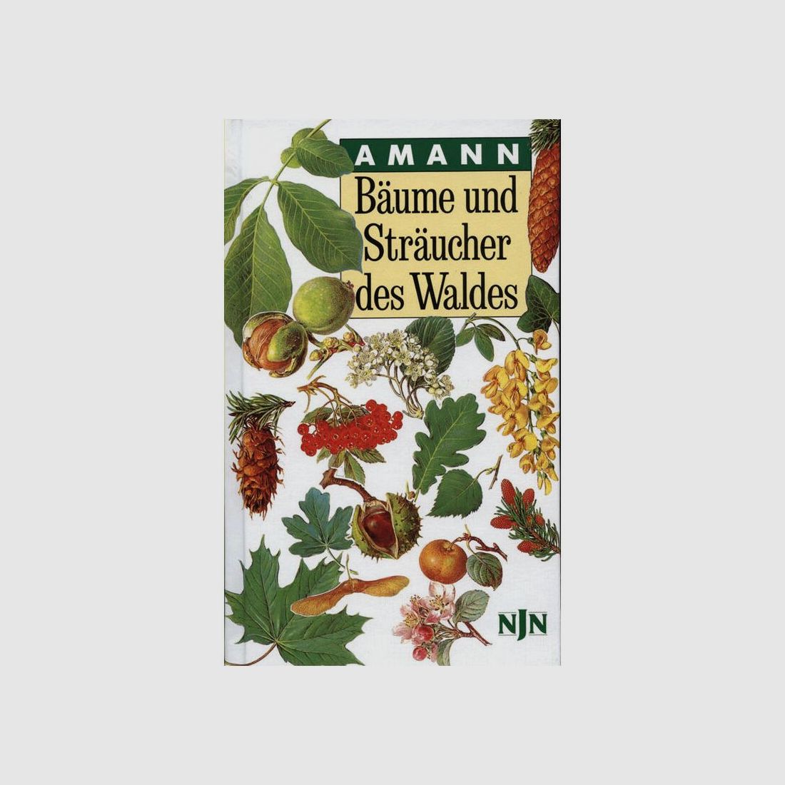 Bäume und Sträucher des Waldes von Gottfried Amann