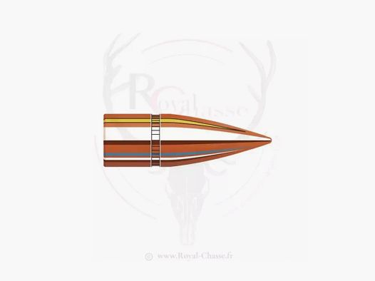 Karton mit 2800 Geschossen Kal.30 D.310 123Grs FMJ HORNADY