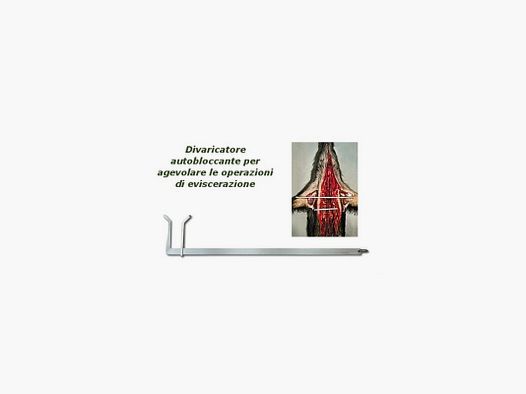 Divaricatore autobloccante