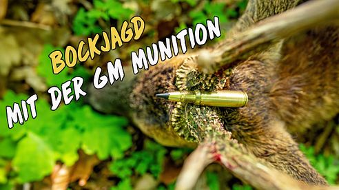 Bockjagd mit GM Munition
