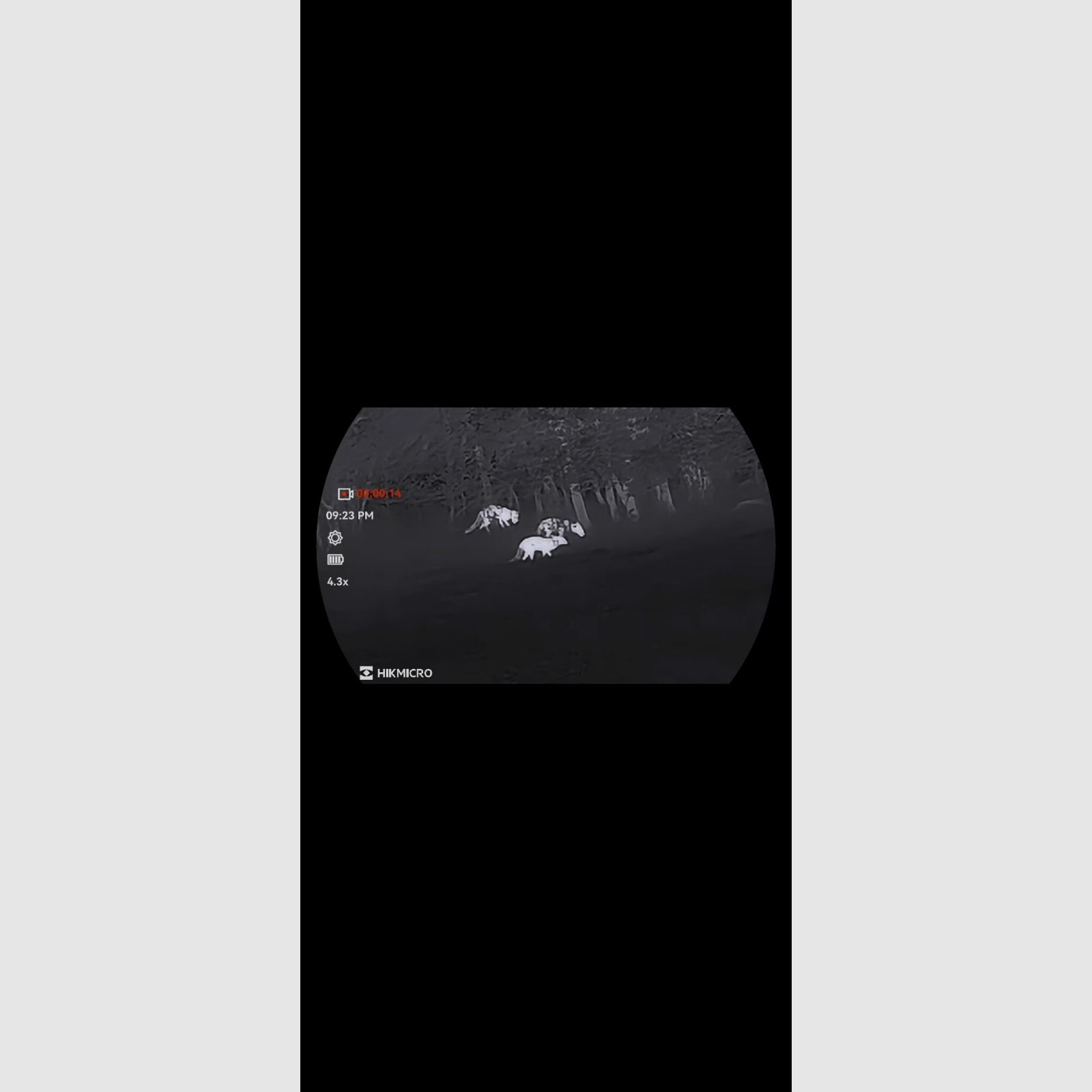 Hikmicro Habrok 4K HE25L 2.0 visor térmica, imagen 8 de 8