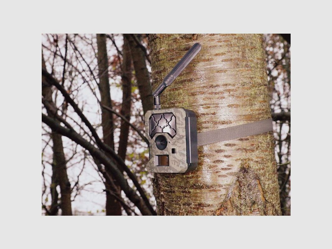 ICUserver CLOM Cam-S Funk Wildkamera Starterset (2x Cam-S + 4 Akkus +Ladegerät)