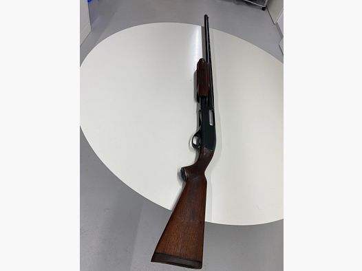 Duck and goose shotgun