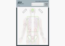 1MOA - Anatomía del objetivo del torso DIN A1 entrenamiento realista con pistola para autoridades...