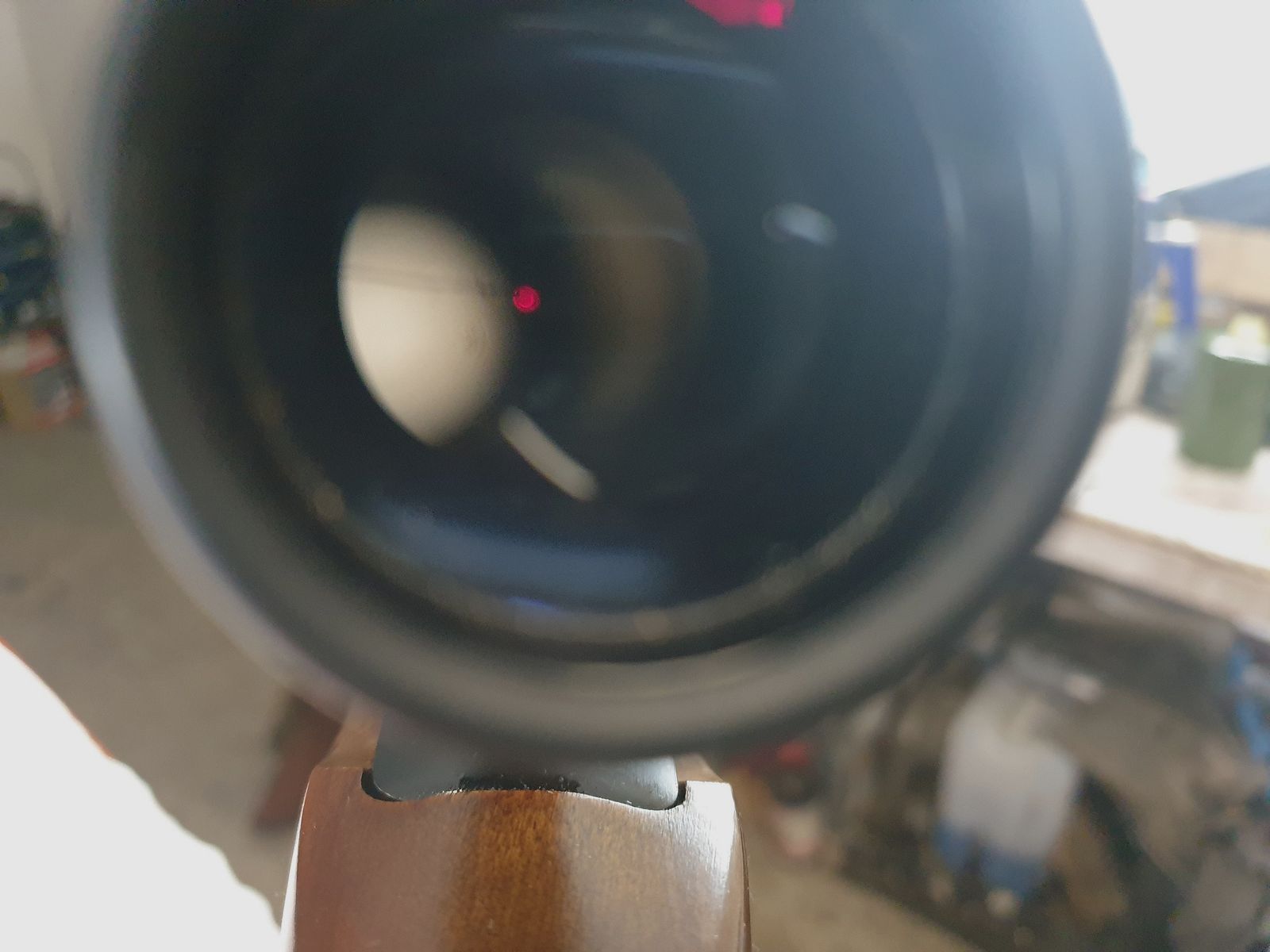 Ruger Selbstladebüchse mit Glas