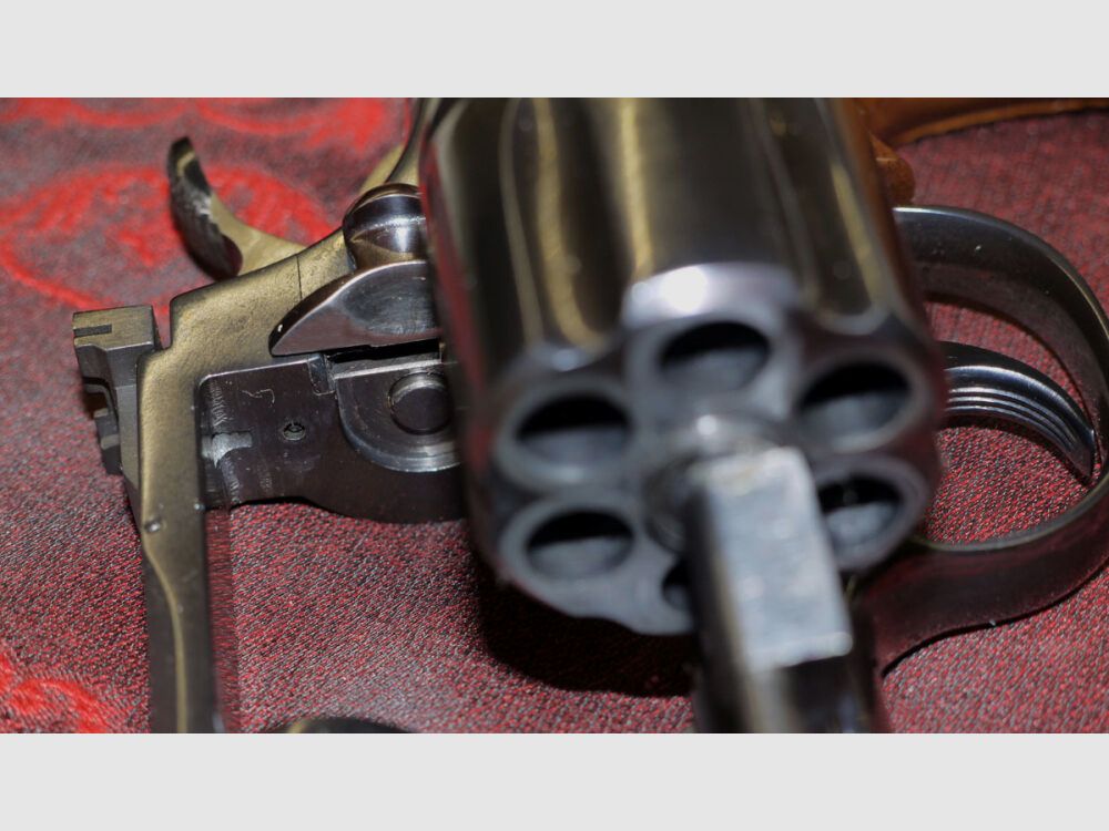 Colt Python