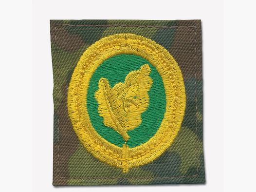 Bundeswehr Original Bundeswehr Original Badge BW Individual Fighter