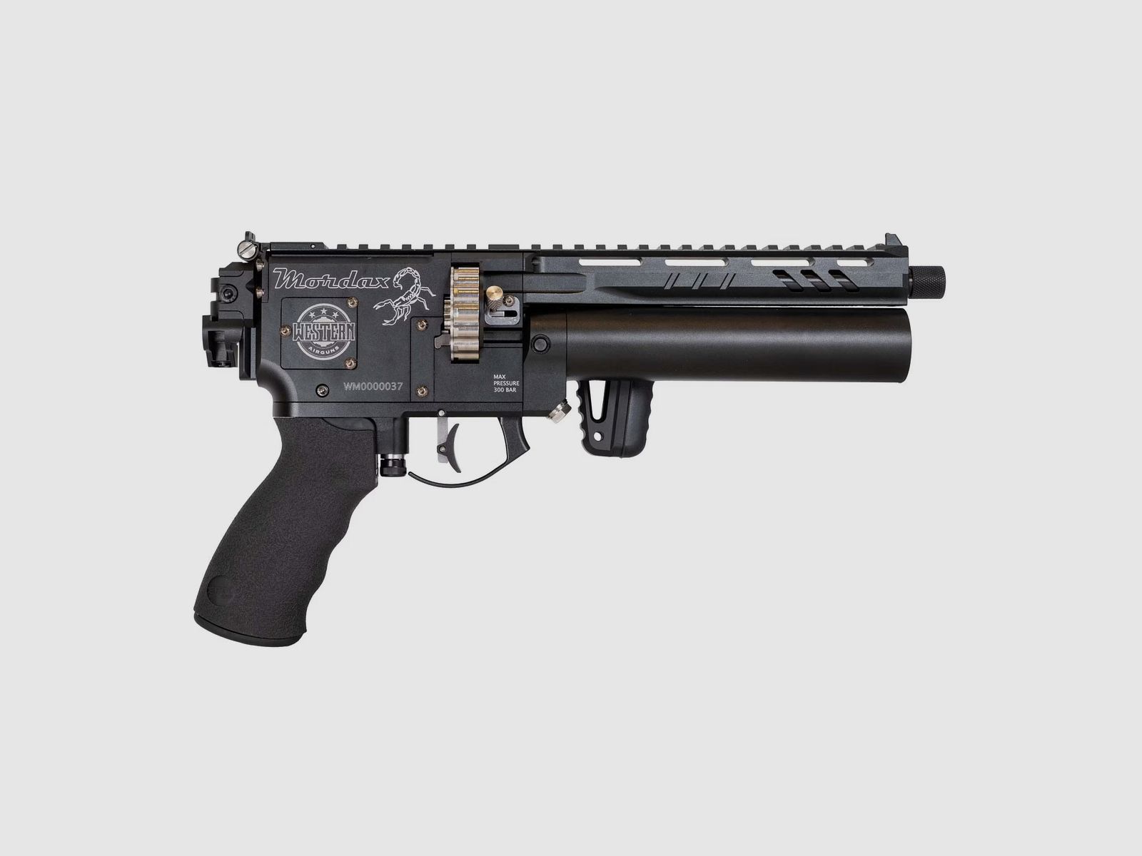 Western Airguns Mordax, image 1 sur 9