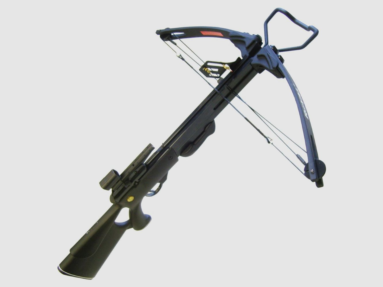 BALESTRA COMPOUND – 150 LB SCHWARZ