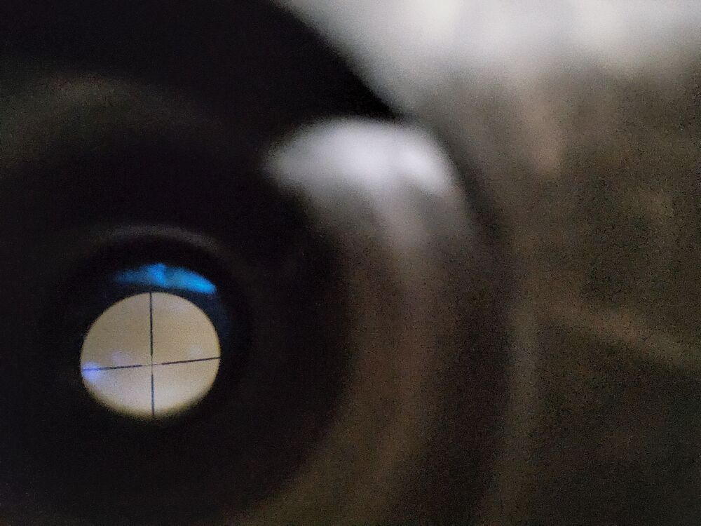 Norinco TU 33/40 avec lunette