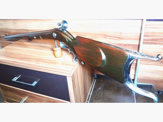 Match muzzle-loading rifle Palmetto Waadländer in caliber .45.