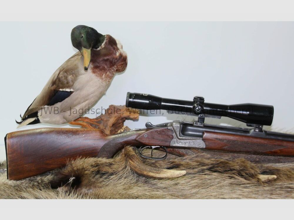 Bock rifle Sauer & Sohn 54 6.5x57R; 16/70