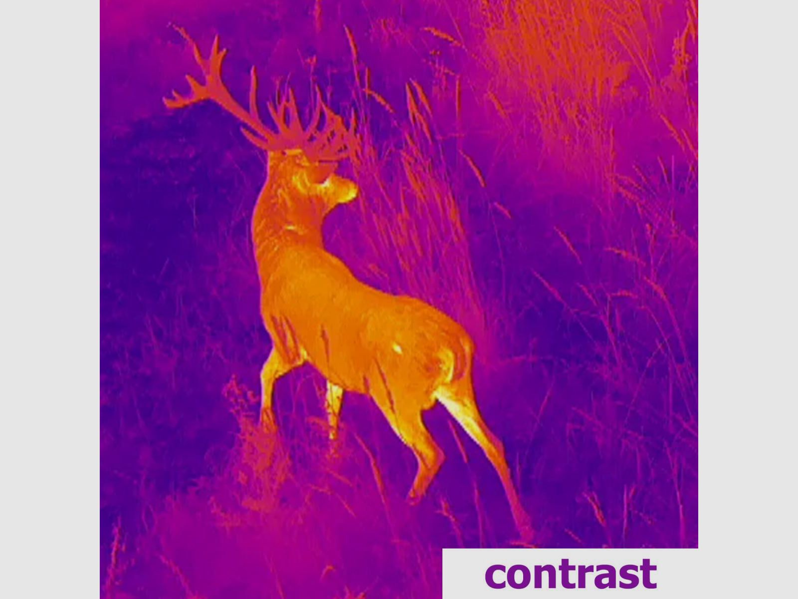 Lahoux Spotter NL 625 Wärmebildkamera