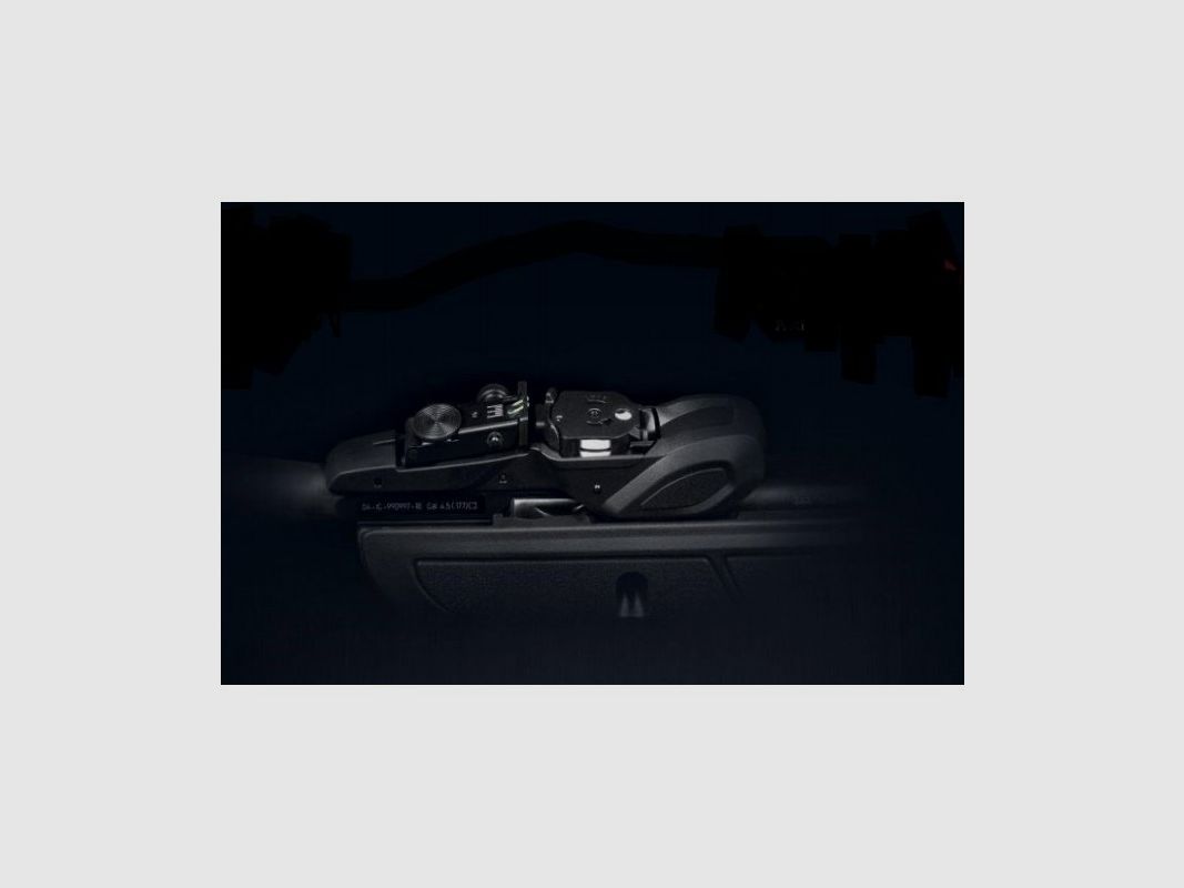 GAMO ROADSTER IGT 10X GEN 2, Bild 1 von 4