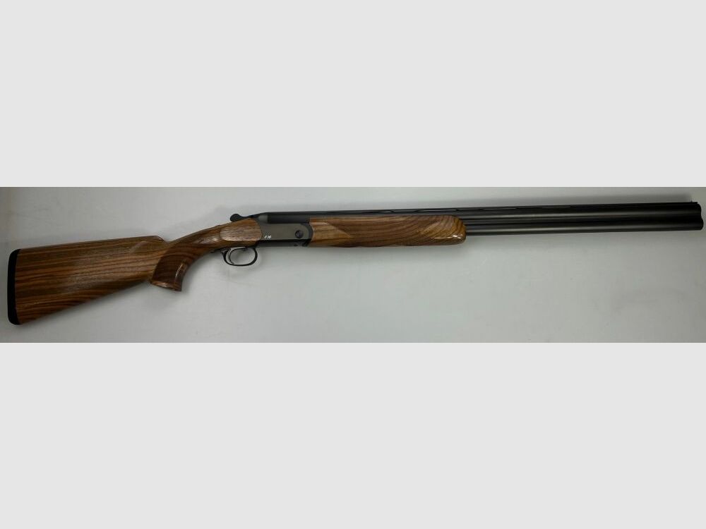 Blaser F16 Game