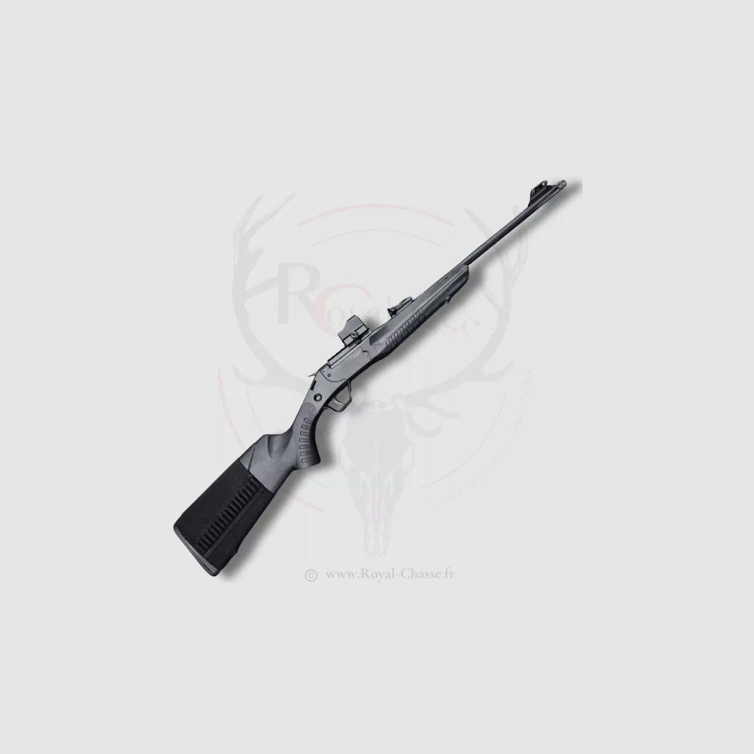 Occasion - MONTENEGRO Cal.22Lr ROSSI, image 1 sur 10