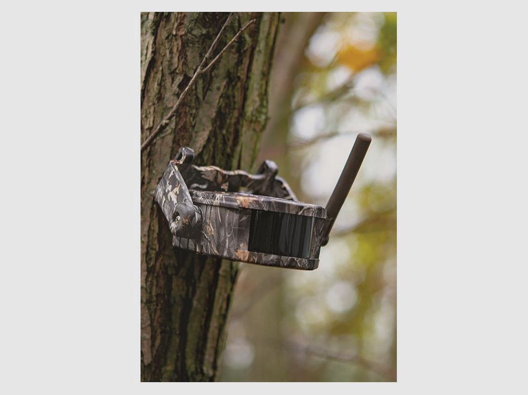 Dörr Wild-Bewegungsmelder Set HA-300