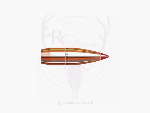 100 proiettili Cal.30 D.308 150Grs SST HORNADY