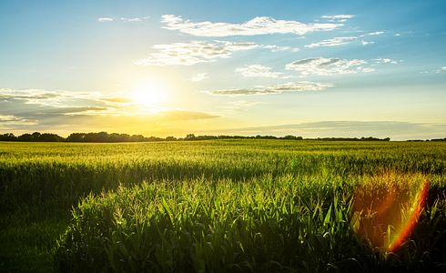 Die richtige Ausrüstung für die Erntejagd
