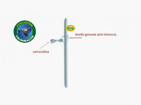 EVOLUZIONE COLOMBACCIO picchetto da campo