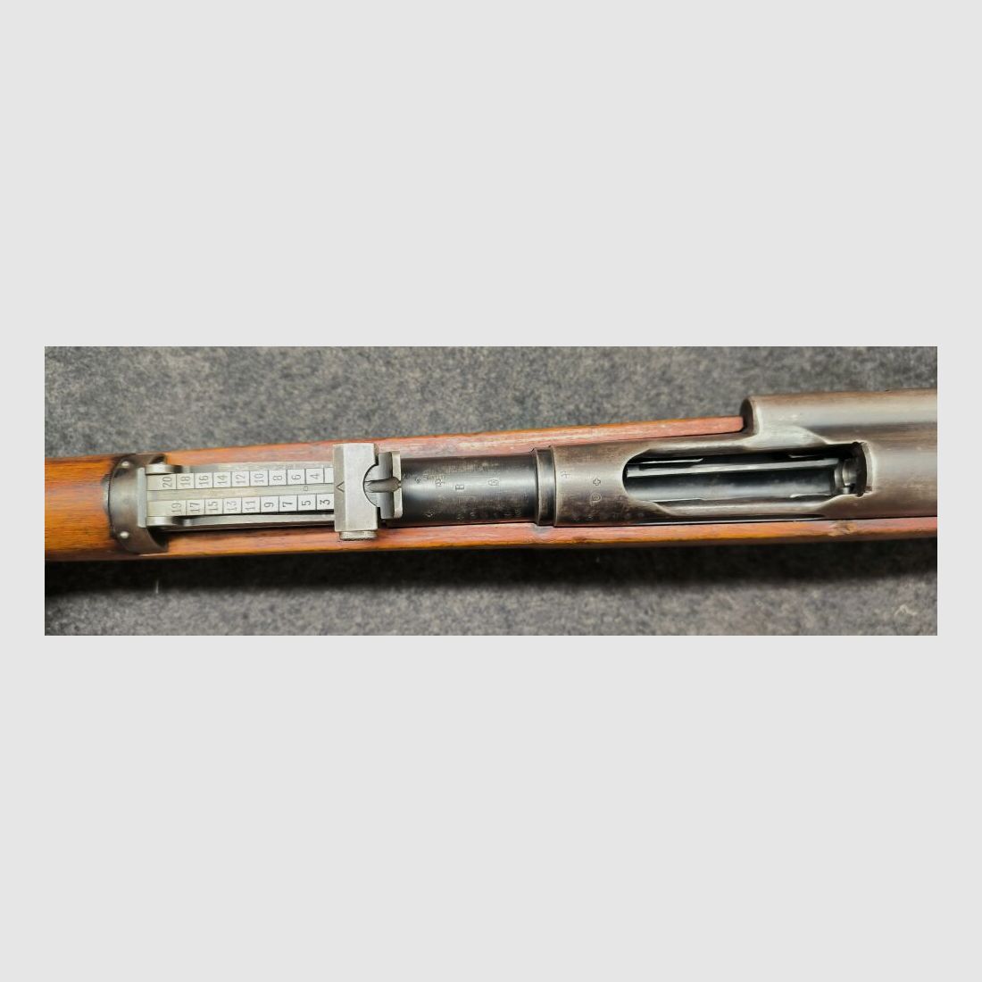 Schmidt Rubin G11