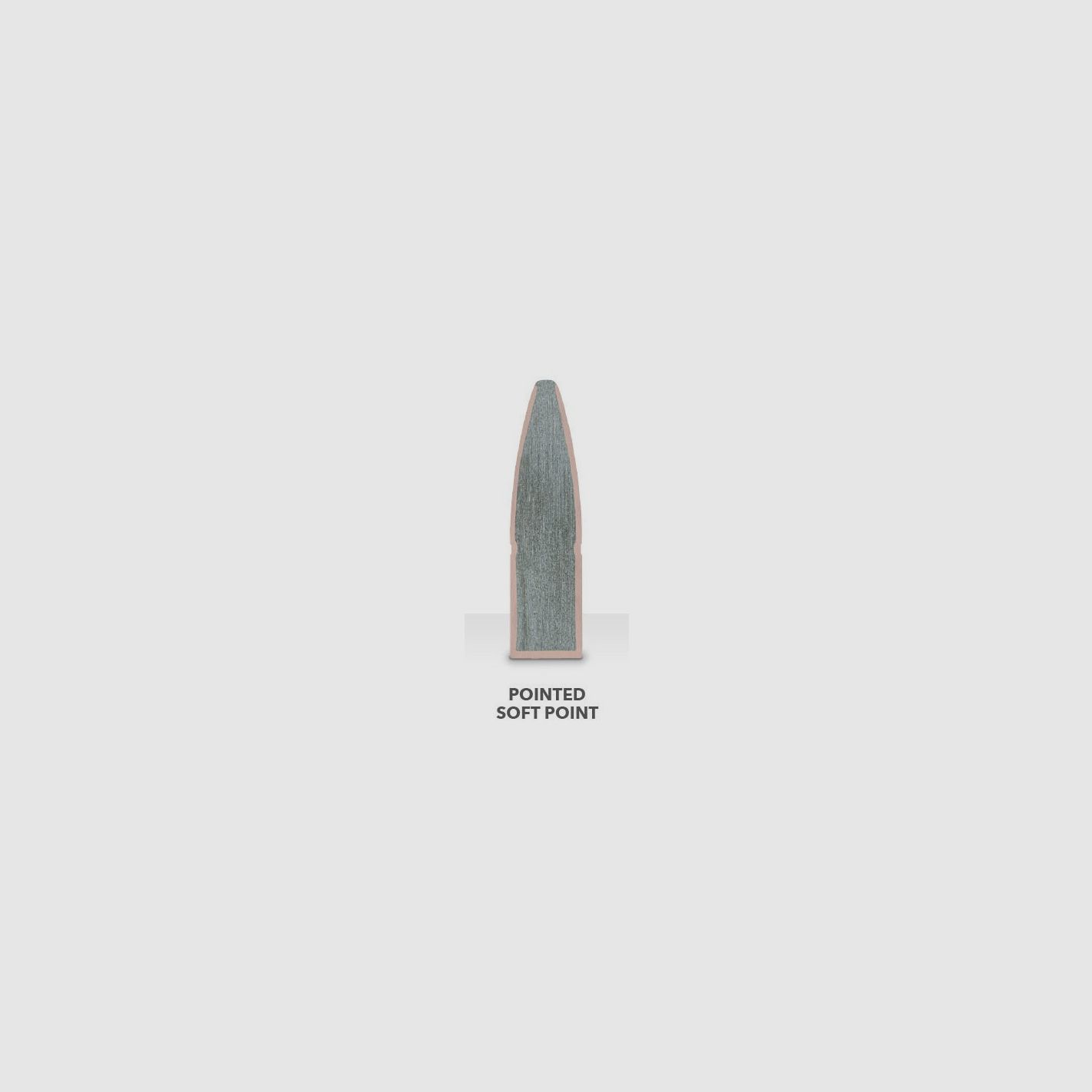 REMINGTON 22-250 HIGH PERFORMANCE RIFLE - 55 grains, Bild 3 von 3